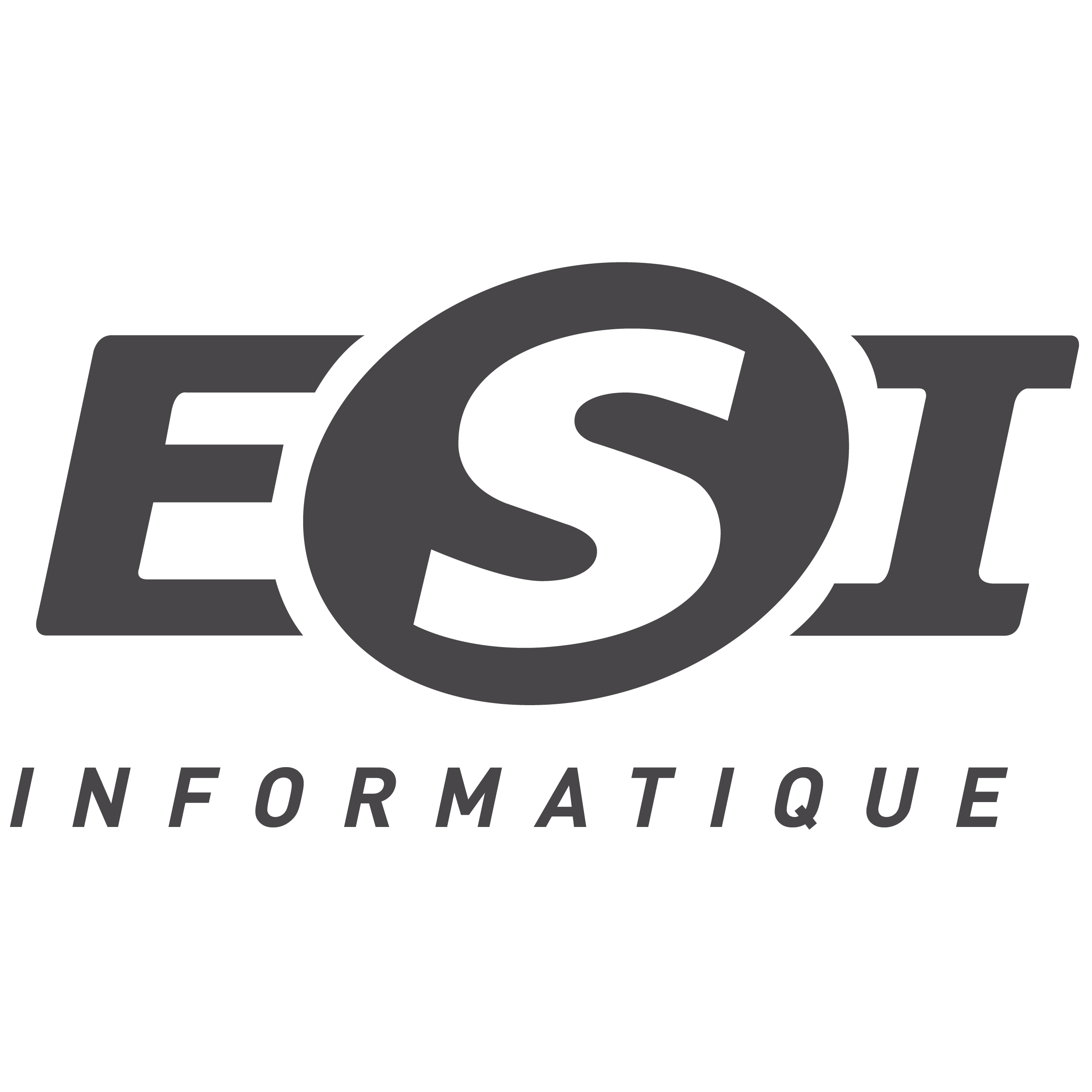ESI INFORMATIQUE